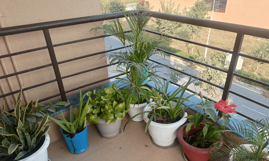 ocel-zabradli-atreon-inspirace