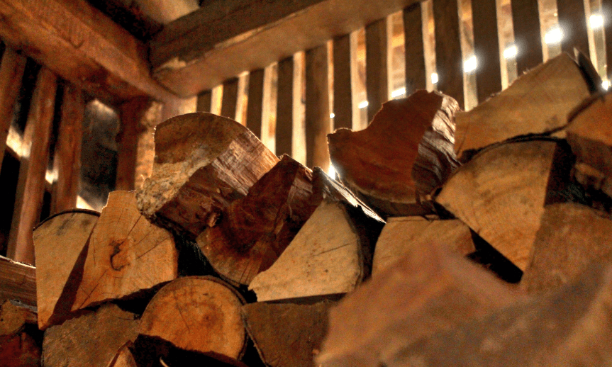 plisen-drevo-v-kulne-atreon