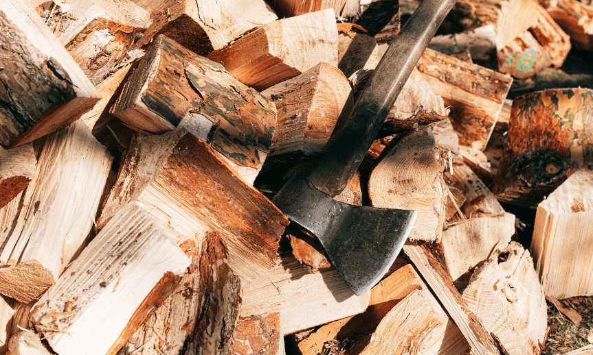 suche-drevo-jak-na-to-atreon