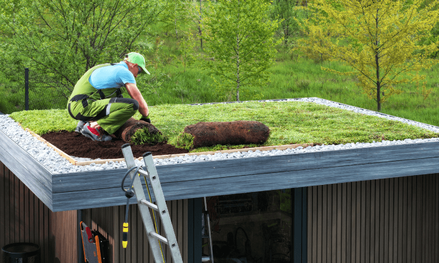 zelena-krytina-drevnik-atreon