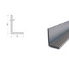 L Profil 100x50x10 (S355)